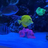  JKFish 1152 State Highway 10, Unit 5 