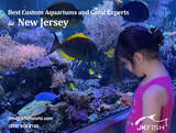  JKFish 1152 State Highway 10, Unit 5 