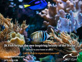  JKFish 1152 State Highway 10, Unit 5 