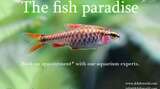  JKFish 1152 State Highway 10, Unit 5 