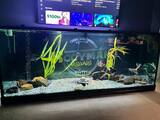  JKFish 1152 State Highway 10, Unit 5 
