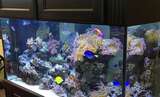  JKFish 1152 State Highway 10, Unit 5 