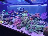  JKFish 1152 State Highway 10, Unit 5 