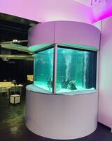  JKFish 1152 State Highway 10, Unit 5 