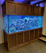 JKFish, Randolph