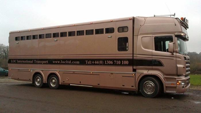  Profile Photos of LOC Ltd International Horse Transport Trigg Street - Photo 1 of 3