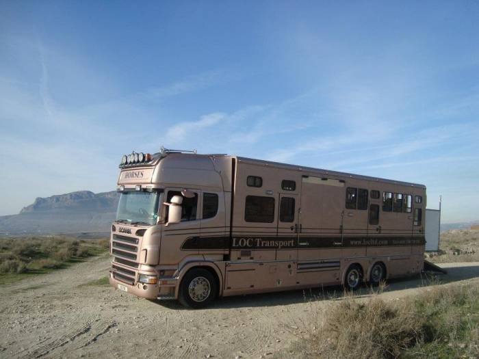  Profile Photos of LOC Ltd International Horse Transport Trigg Street - Photo 3 of 3