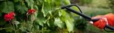Menus & Prices, Manor Gardens & Tree Care, South Croydon