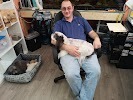 All About Grooming, Guelph