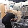 All About Grooming, Guelph