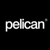 Pelican Media, Colchester