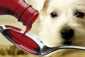  Profile Photos of Petz Now - Online Pet Store 10500 fountain lake drive unit 325 - Photo 7 of 10
