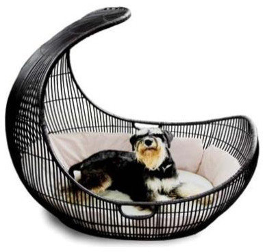  Profile Photos of Petz Now - Online Pet Store 10500 fountain lake drive unit 325 - Photo 10 of 10