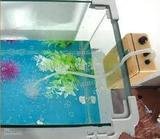  Petz Now - Online Pet Store 10500 fountain lake drive unit 325 