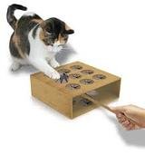  Petz Now - Online Pet Store 10500 fountain lake drive unit 325 