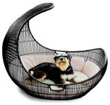 Petz Now - Online Pet Store, Stafford