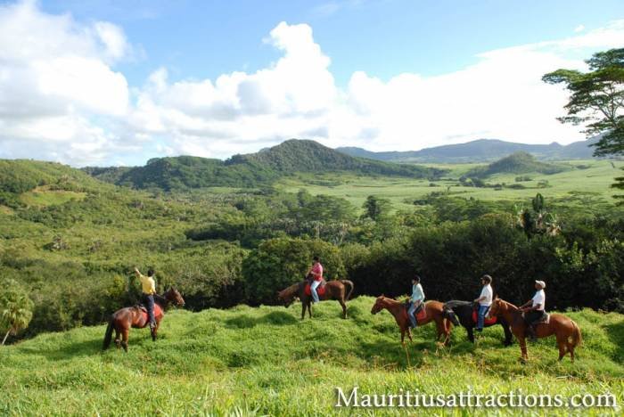  Profile Photos of Mauritius Attractions 105 Suite, Grand Bay Business Park, Royal Road - Photo 12 of 20