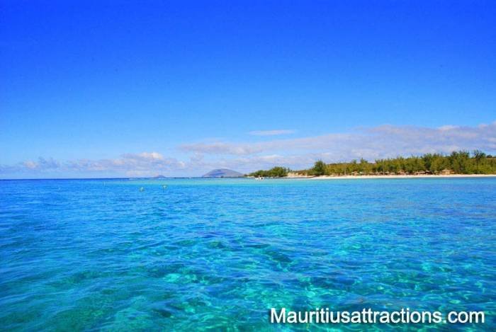  Profile Photos of Mauritius Attractions 105 Suite, Grand Bay Business Park, Royal Road - Photo 1 of 20