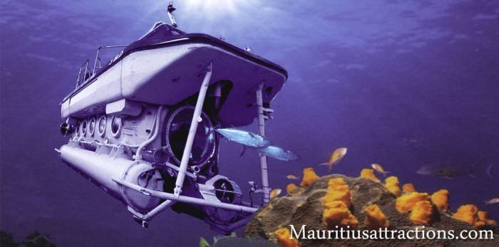  Profile Photos of Mauritius Attractions 105 Suite, Grand Bay Business Park, Royal Road - Photo 6 of 20