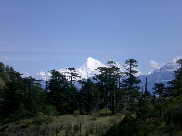  Profile Photos of Bhutan Majestic Travel GPO Box: 1148 - Photo 17 of 18