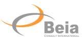 BEIA CONSULT INTERNATIONAL, Bucuresti