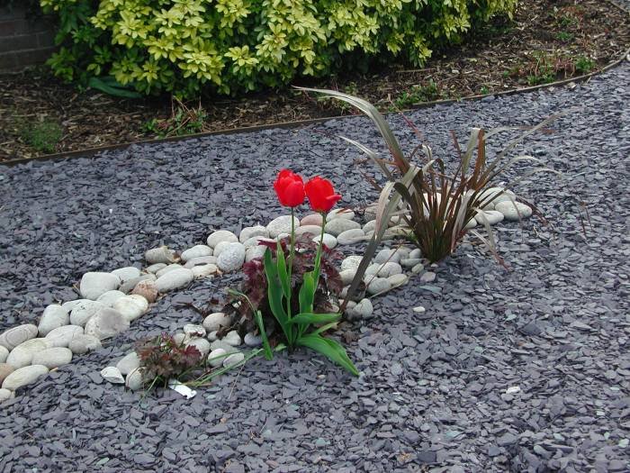  Profile Photos of Rocas Decor 0736388207 - Photo 47 of 158