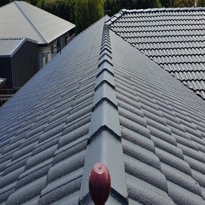  Profile Photos of ColourMe Painting Roof Restoration 41 Rutland St - Photo 5 of 5
