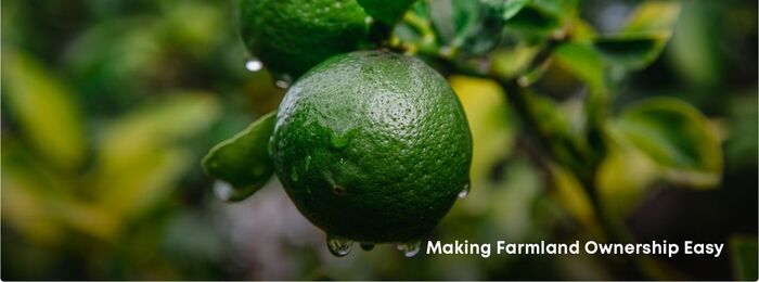  Profile Photos of Farmfolio Cl. 6 Sur ##43A-96, MedellÃ­n, Antioquia, Colombia - Photo 1 of 2