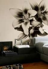  Interior Store Barajul Argesului 41E 