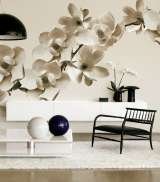  Interior Store Barajul Argesului 41E 