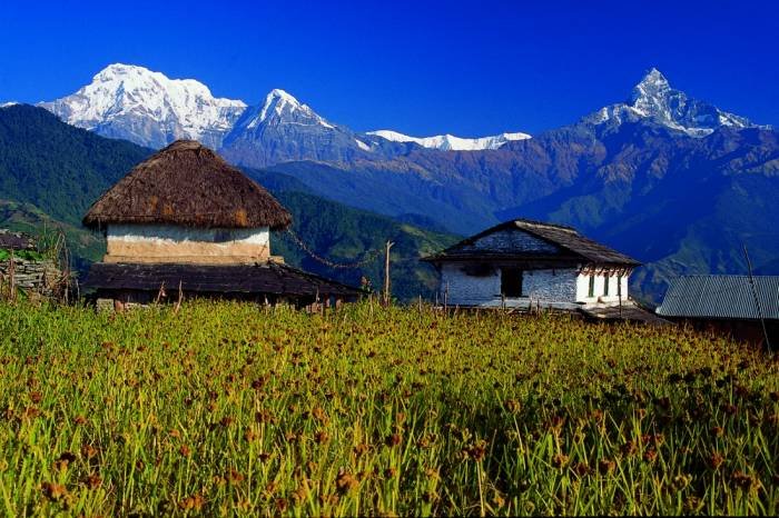  Profile Photos of Langtang Ri Trekking & Expedition Pvt Ltd Tridevi Marg - Photo 3 of 6