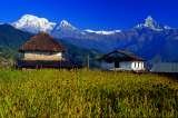 Langtang Ri Trekking & Expedition Pvt Ltd, Thamel , Kathmandu