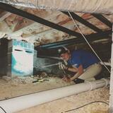 Freedom Pest Services, Waxhaw