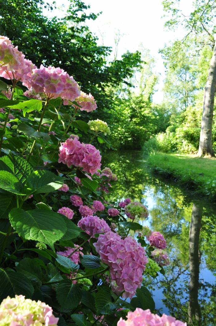  Profile Photos of Fairhaven Woodland and Water Garden School Road - Photo 1 of 5