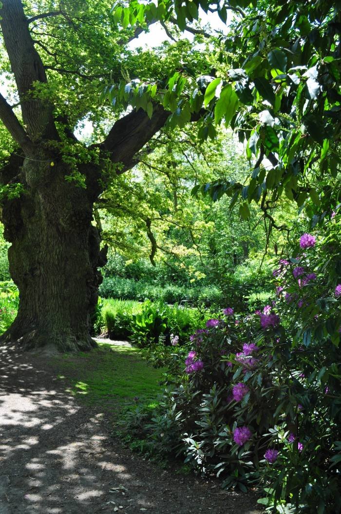  Profile Photos of Fairhaven Woodland and Water Garden School Road - Photo 2 of 5