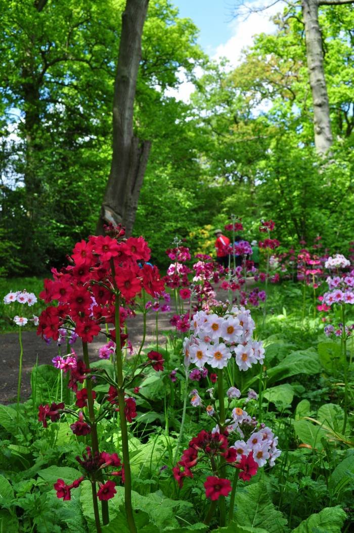  Profile Photos of Fairhaven Woodland and Water Garden School Road - Photo 3 of 5