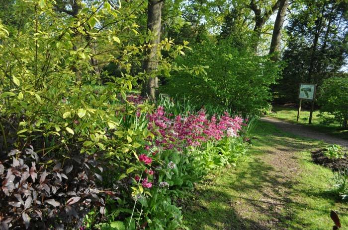  Profile Photos of Fairhaven Woodland and Water Garden School Road - Photo 4 of 5