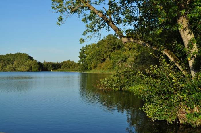  Profile Photos of Fairhaven Woodland and Water Garden School Road - Photo 5 of 5