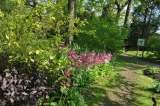 Fairhaven Woodland and Water Garden, Norwich