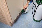 Exterminating Services<br />
 Pest Specialists of Fontana 9129 Cherry Avenue Suite D 