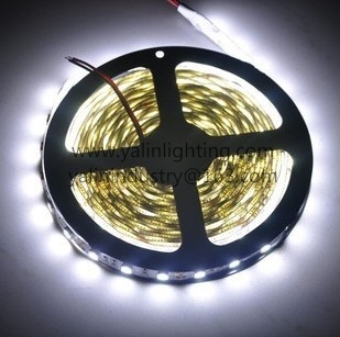 3528SMD 120 LED strip lights, cool white 6000K 6500K rope lighting, Christmas RGB decorative tape www.yalinlighting.com Profile Photos of Yalin Industry Company Limited Fengxiang Industry Zone, Daliang, Shunde - Photo 14 of 39 3528SMD 120 LED strip lights, cool white 6000K 6500K rope lighting, Christmas RGB decorative tape www.yalinlighting.com Profile Photos of Yalin Industry Company Limited Fengxiang Industry Zone, Daliang, Shunde - Photo 14 of 39