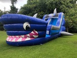 New Album of Tiky Jumps Inflatables LLC