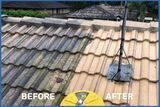 Presha Cleaning, Dutton Park