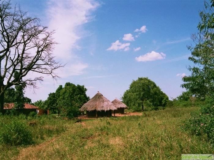  Profile Photos of African Motion Adventures p.o.box 40397 Kampala, Uganda - Photo 3 of 13