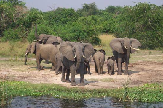  Profile Photos of African Motion Adventures p.o.box 40397 Kampala, Uganda - Photo 5 of 13
