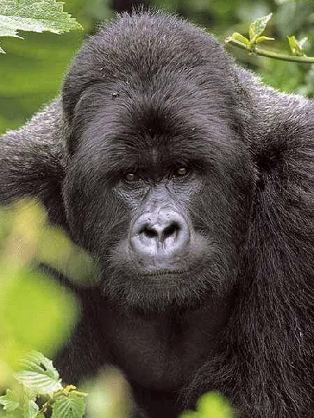  Profile Photos of African Motion Adventures p.o.box 40397 Kampala, Uganda - Photo 6 of 13