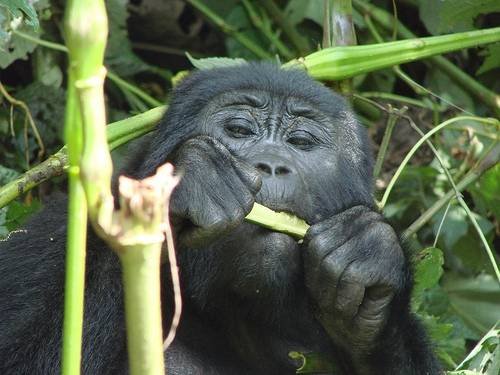  Profile Photos of African Motion Adventures p.o.box 40397 Kampala, Uganda - Photo 12 of 13