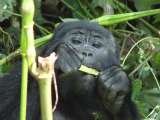 African Motion Adventures, Kampala