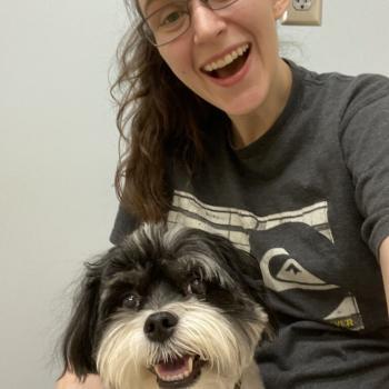  New Album of Animal People Pet Sitting & Dog Walking 9810 Blackbird Hill Lane - Photo 3 of 3
