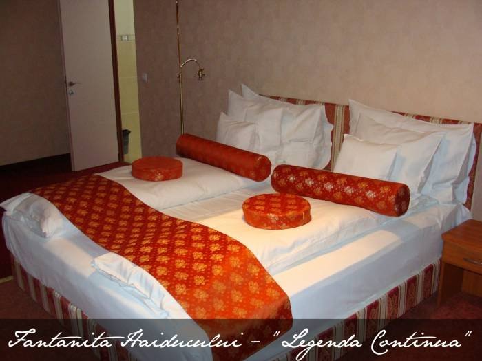  Profile Photos of Hotel Fantanita Haiducului*** Dn 1, Km 269 Sibiu-Brasov - Photo 5 of 8